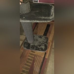 Scratch post(cat)